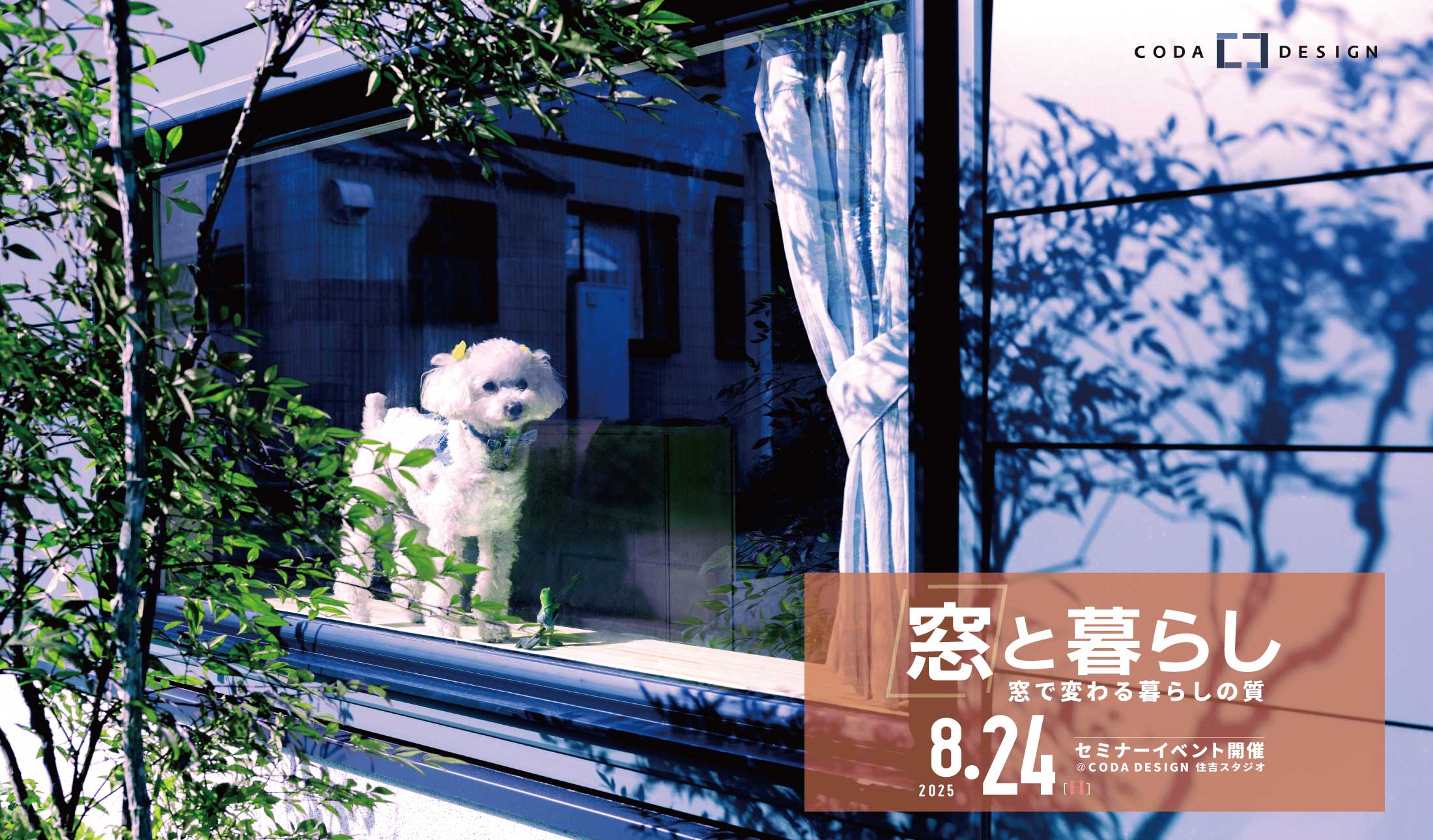 8/24「窓と暮らし」イベント